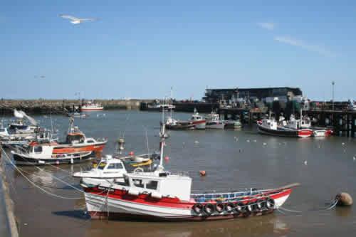 Savannah-By-The-Sea Bridlington Kültér fotó